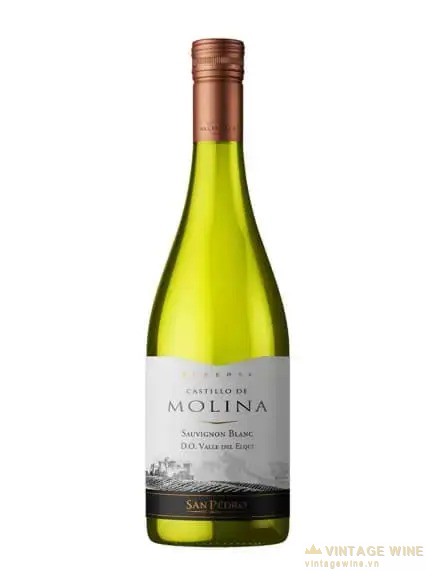 Castillo De Molina Reserva Sauvignon Blanc