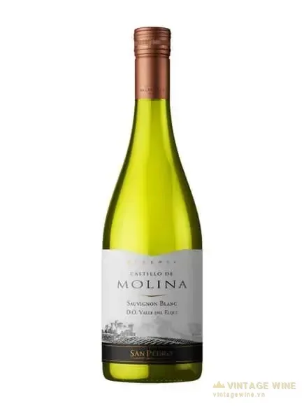 Castillo De Molina Reserva Sauvignon Blanc