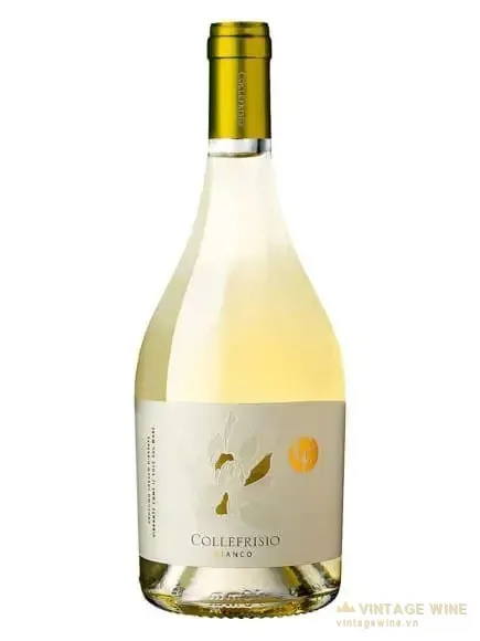 CF Collefrisio Bianco