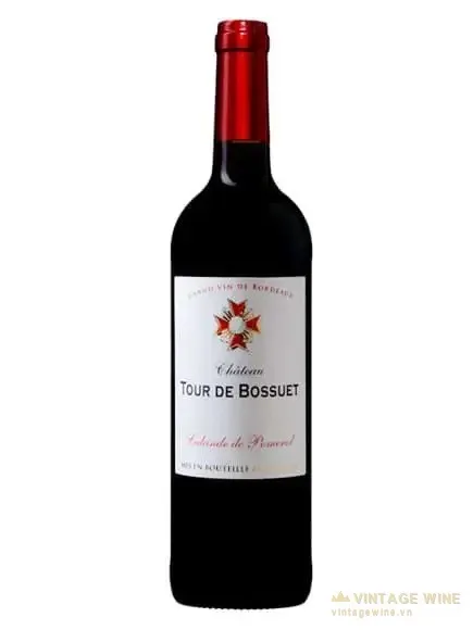 Chateau Tour de Bossuet