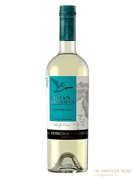 Concha Y Toro Gran Reserve Sauvignon Blanc