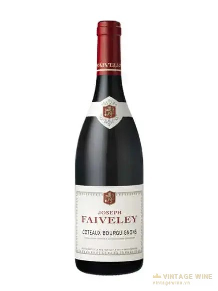 Domaine Faiveley Coteaux Bourguignons – Burgundy, Pháp, 750ml