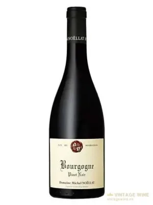 Domaine Michel Noellat Bourgogne Pinot Noir
