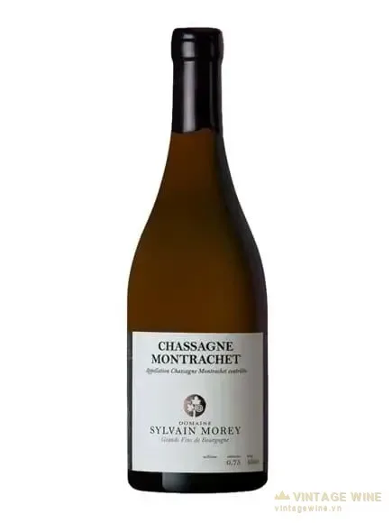 Domaine Sylvain Morey Chassagne Montrachet Blanc
