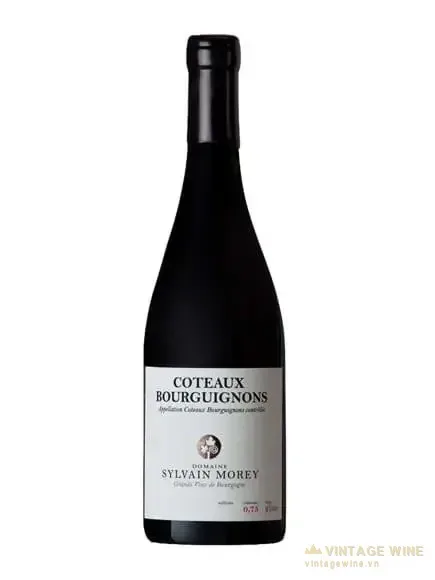 Domaine Sylvain Morey Coteaux Bourguignon