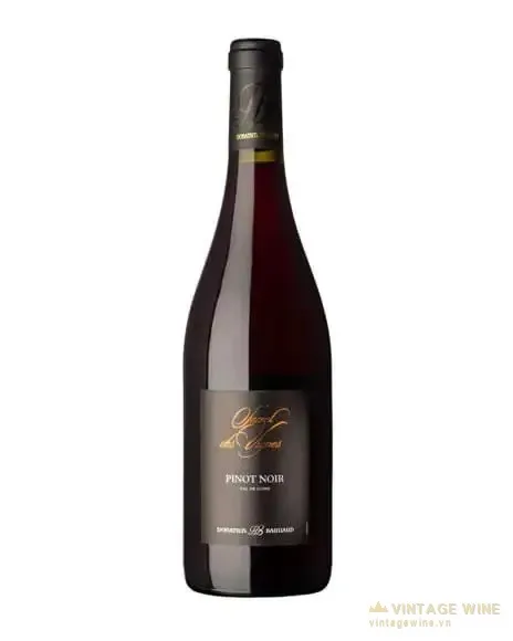 Donatien Bahuaud Secret des Vignes Pinot Noir