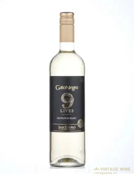 Gato Negro 9 Lives Reserve Sauvignon Blanc