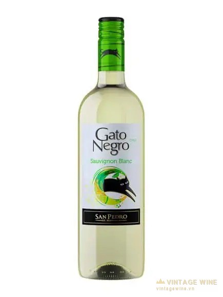Gato Negro Sauvignon Blanc