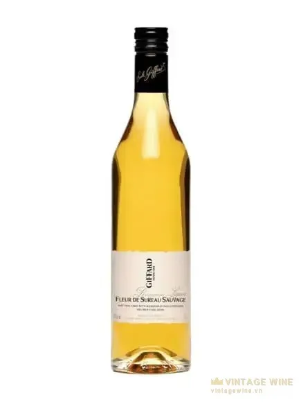 Giffard Fleur de Sureau Sauvage - Elderflower