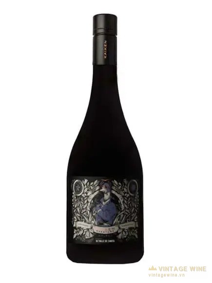 Kaiken Aventura Malbec Valle de Canota