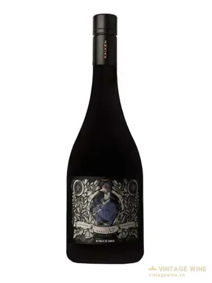 Kaiken Aventura Malbec Valle de Canota