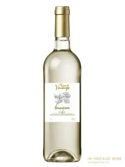 Louis de Venenge Sauvignon Blanc