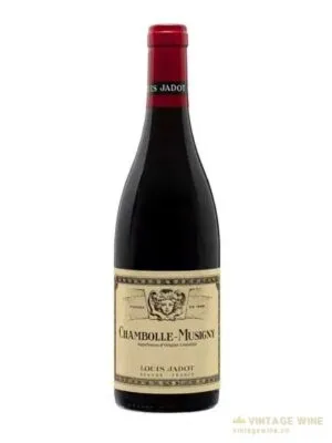 Louis Jadot Chambolle Musigny