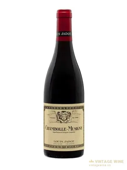 Louis Jadot Chambolle Musigny