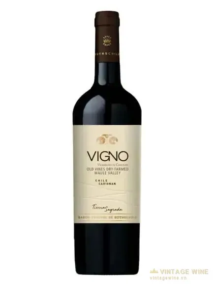 Mapu Tierra Sagrada Carignan Vigno
