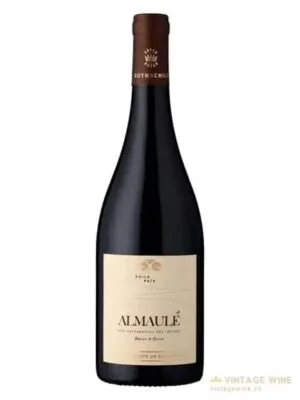 Mapu Tierra Sagrada Pais Almaule