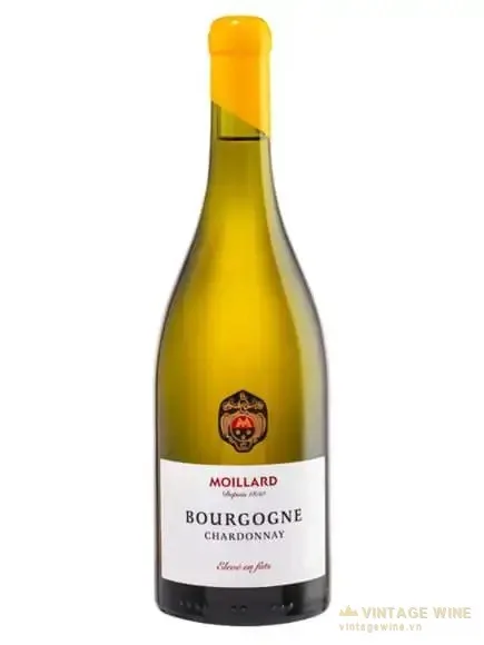 Moillard Bourgogne Chardonnay Eleve En Futs