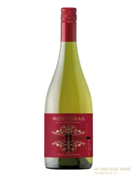 MontGras Day One Chardonnay