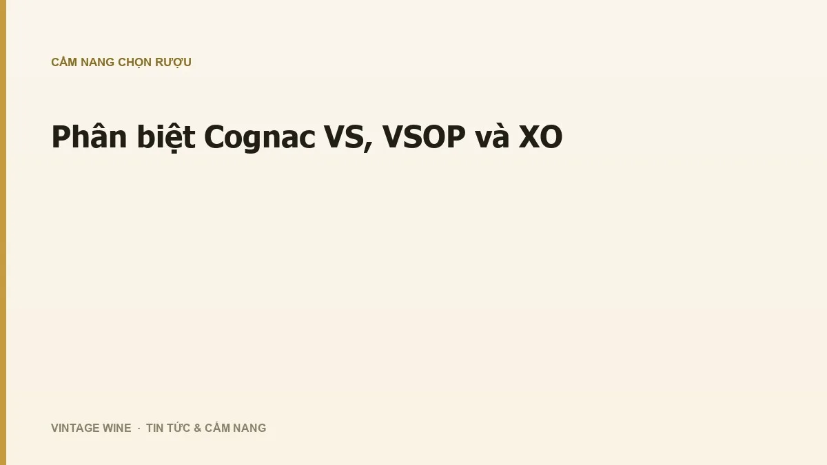 Phân biệt Cognac VS, VSOP và XO