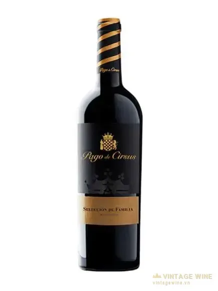 Pago de Cirsus Seleccion de Familia