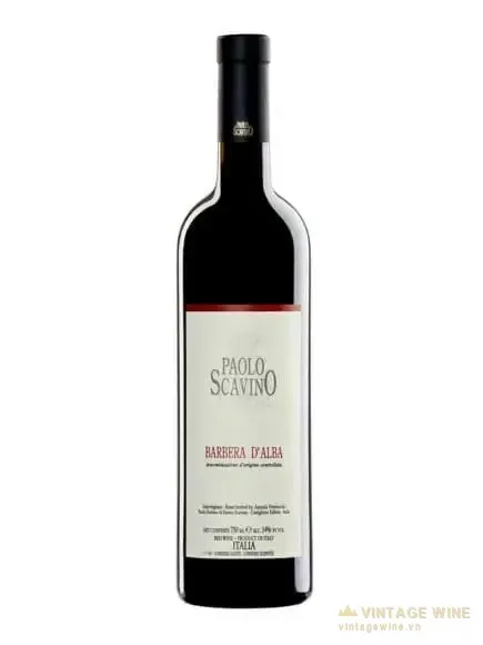 Paolo Scavino Barbera