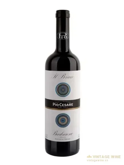 Pio Cesare Il Bricco Barbaresco