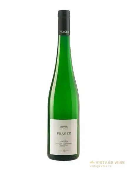Prager Achleiten Stockkultur Gruner Veltliner