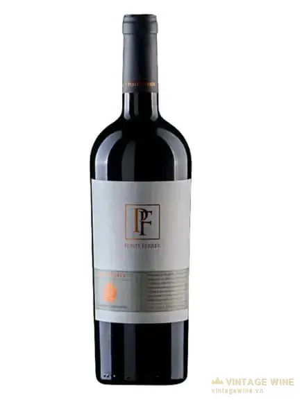 Punti Ferrer Gran Reserva Cabernet Sauvignon