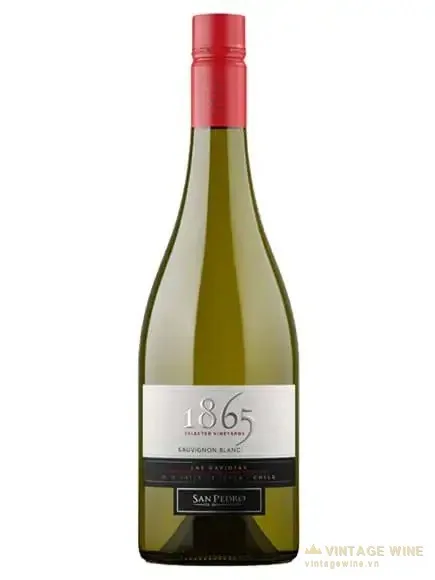 Rượu vang 1865 Sauvignon Blanc