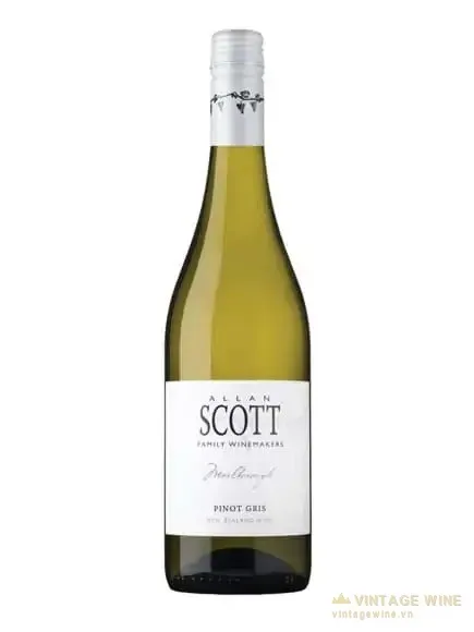 Rượu vang Allan Scott Pinot Gris
