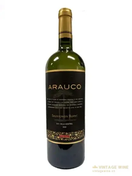 Rượu vang Arauco Sauvignon Blanc