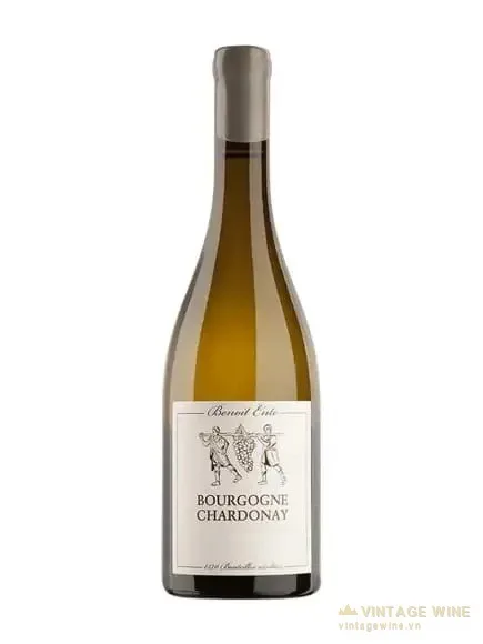 Rượu vang Benoit Ente Bourgogne Chardonnay