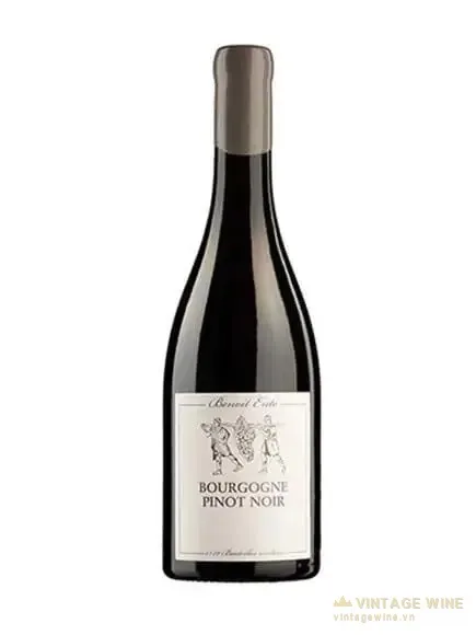Rượu vang Benoit Ente Bourgogne Pinot Noir