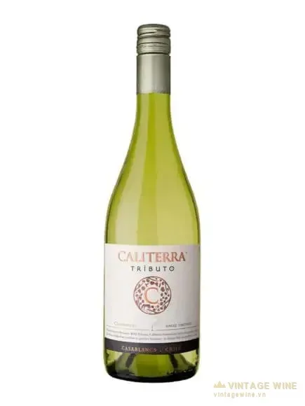 Rượu vang Caliterra Tributo Gran Reserva Single Vineyard Chardonnay