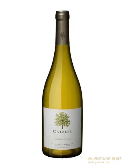 Rượu vang Catalpa Chardonnay