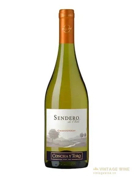 Rượu vang Concha y Toro Sendero de Chile Chardonnay