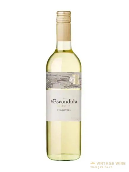 Malbec Argentina: Vùng Núi Cao Mendoza Và Cách Chọn Chai