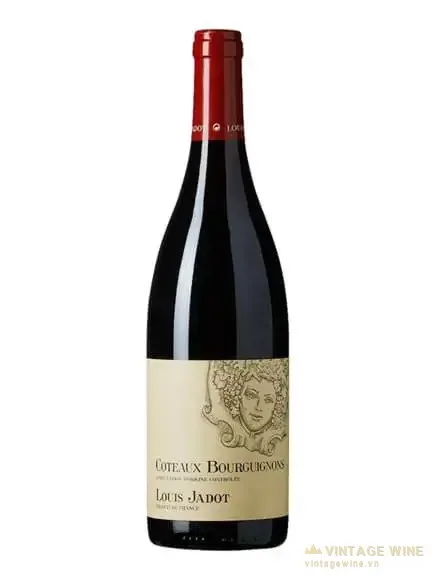 Rượu vang Louis Jadot Coteaux Bourguignon Red