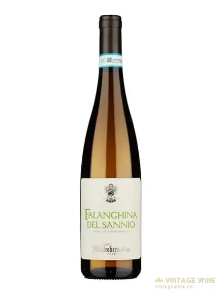Rượu vang Mastroberardino Falanghina del Sannio DOC