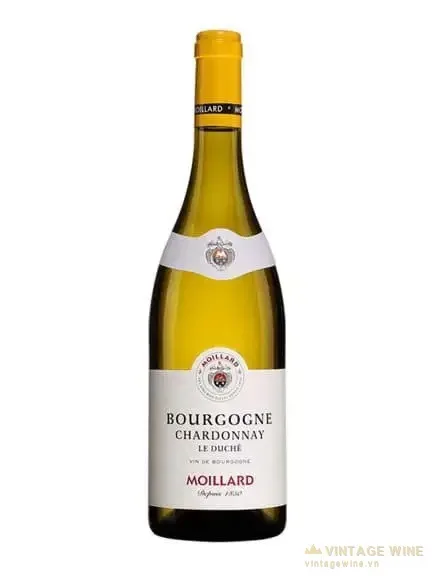 Rượu vang Moillard Bourgogne Chardonnay