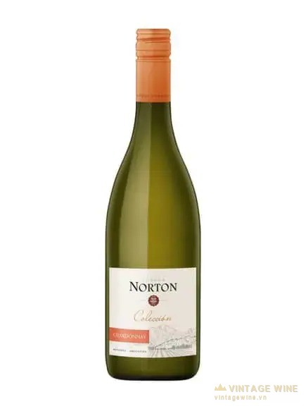 Rượu vang Norton Coleccion Chardonnay