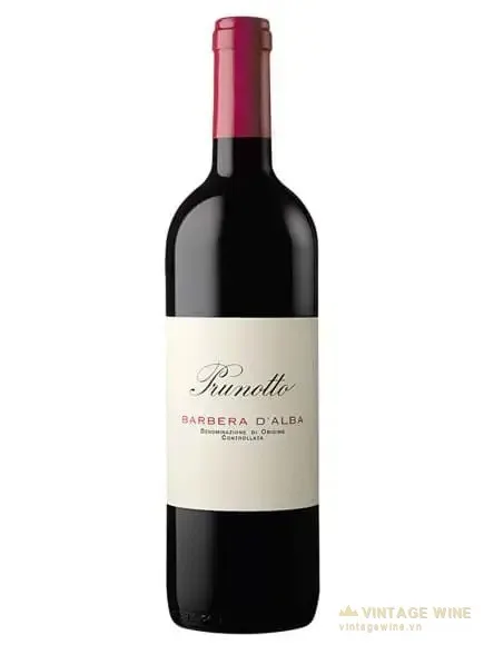 Rượu vang Prunotto Barbera D’Alba