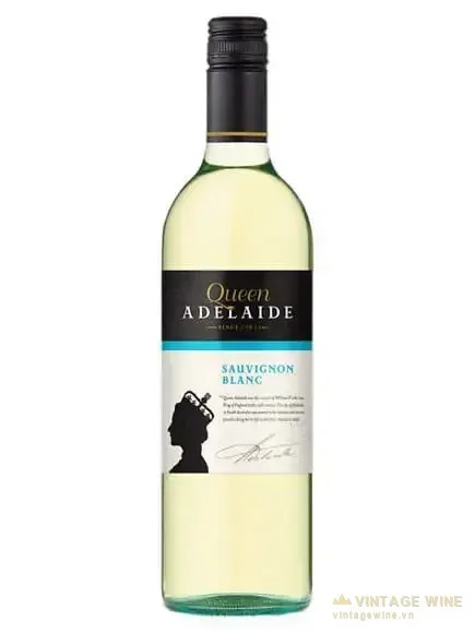 Rượu vang Queen Adelaide Sauvignon Blanc