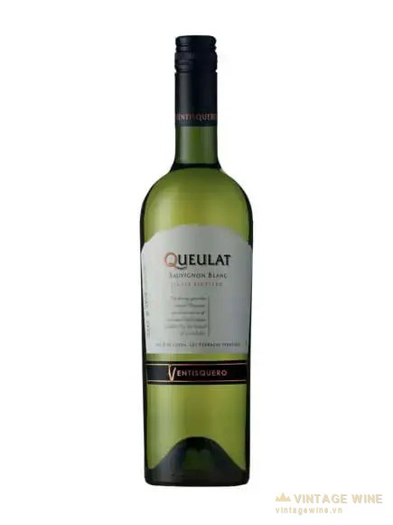 Rượu vang Queulat Gran Reserva Sauvignon Blanc