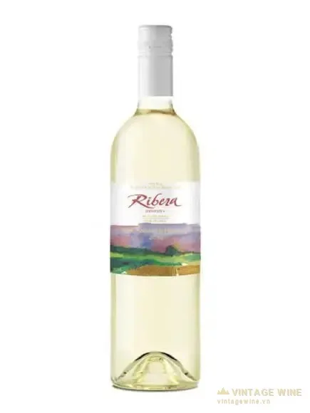 Rượu vang Ribera Reserva Sauvignon Blanc