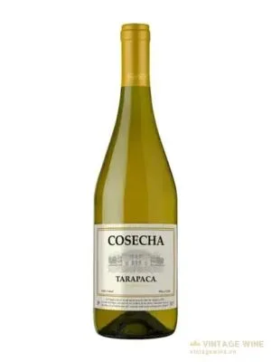 Rượu vang Tarapaca Cosecha Chardonnay