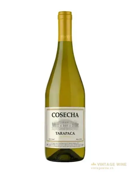 Rượu vang Tarapaca Cosecha Chardonnay