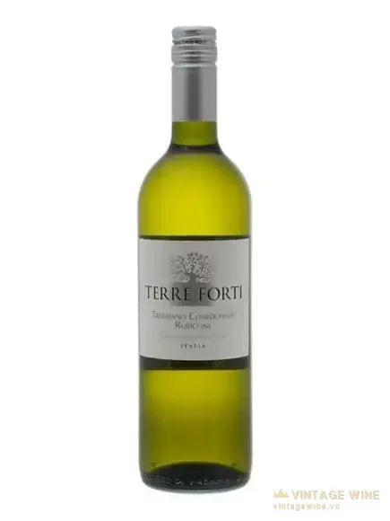 Rượu vang Terre Forti Trebbiano Chardonnay