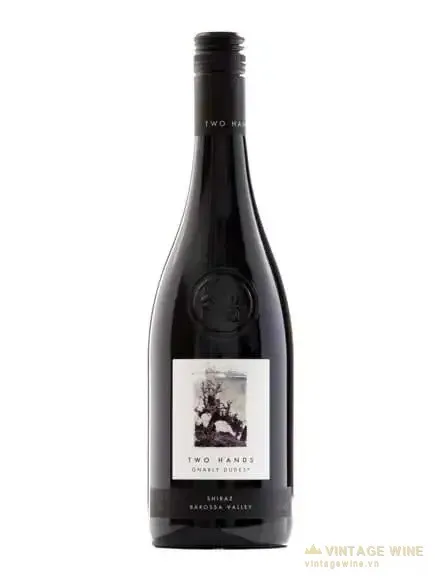 Rượu vang Two Hands Gnarly Dudes Shiraz