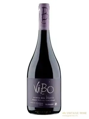 Rượu vang Vibo Punta Del Viento